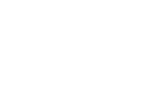 holistic stylist logo white rgb 900px w 72ppi 300x181 1